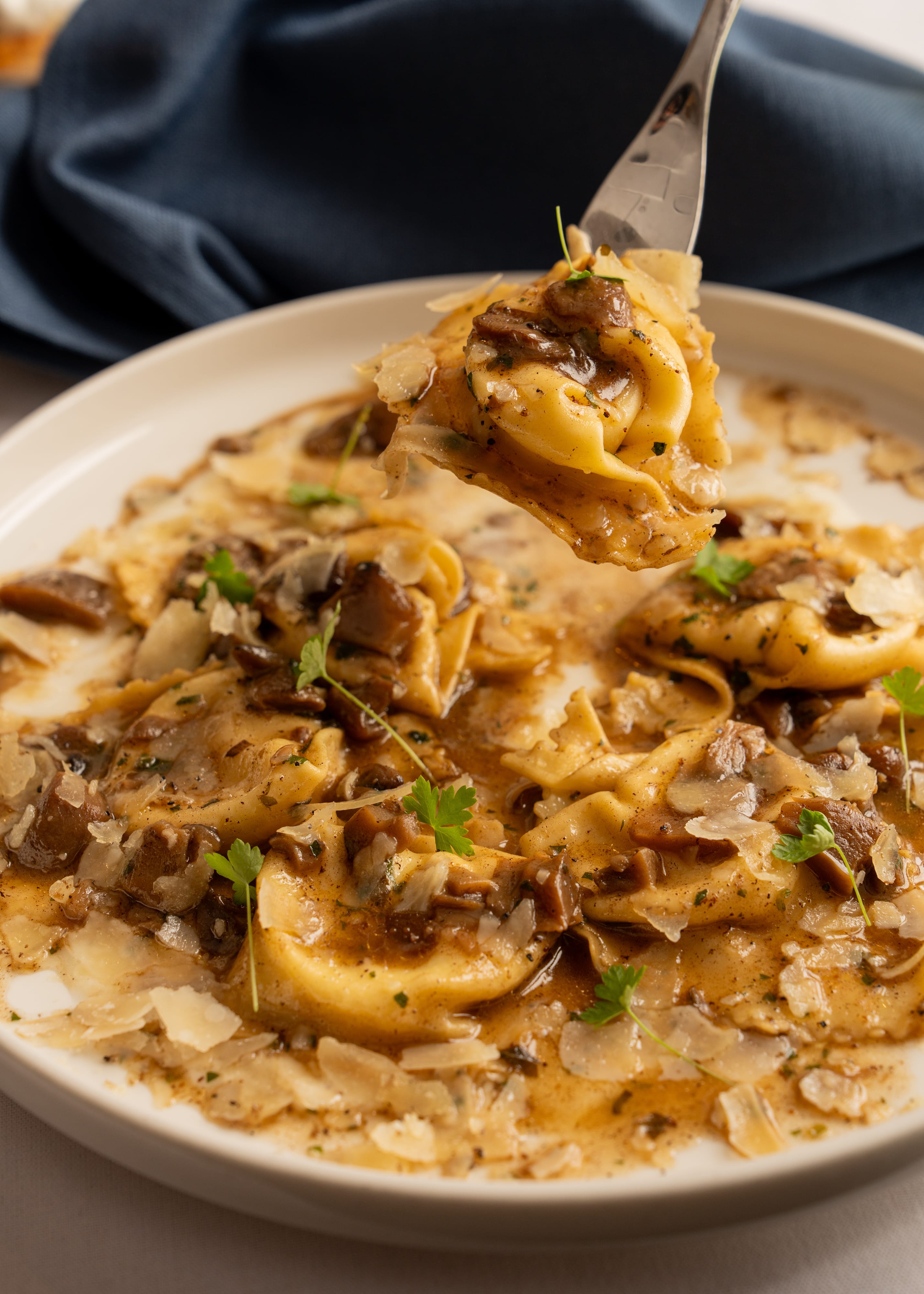 Pecorino Tortellini & Porcini mushroom ragout