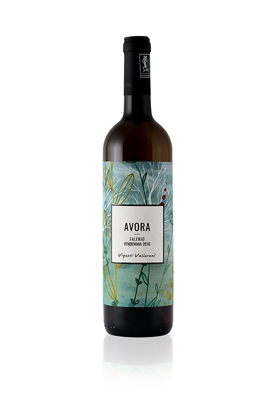 Valloriani, Pecorino (Falerio Bianco) Marche, 2023