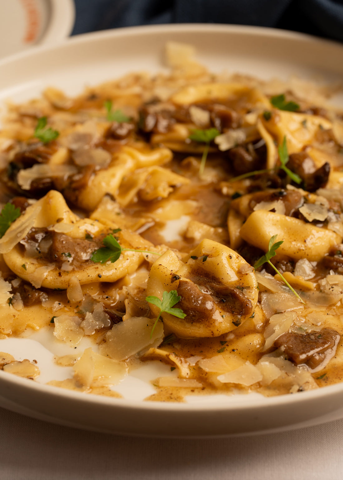 Pecorino Tortellini &amp; Porcini mushroom ragout
