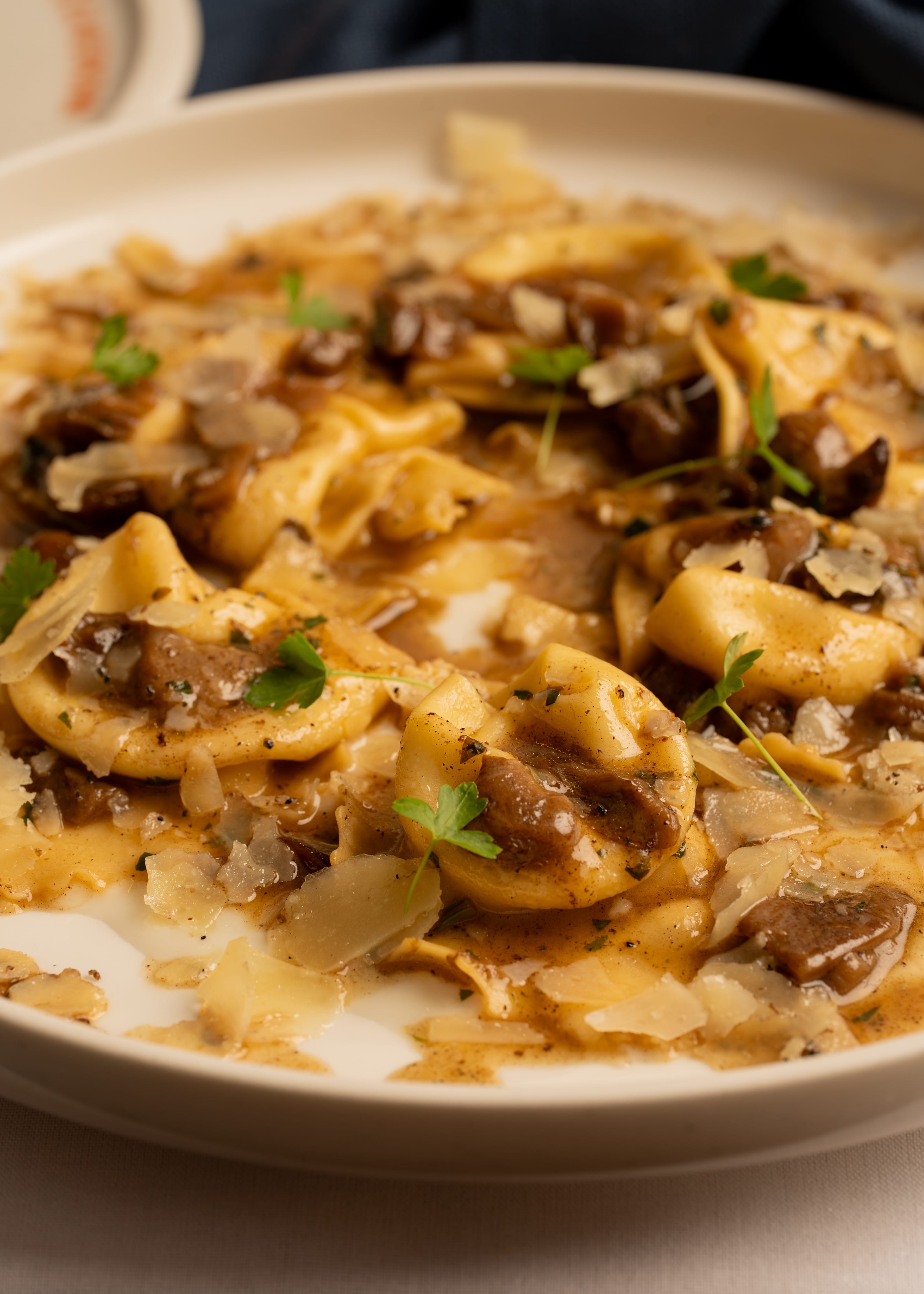 Pecorino Tortellini &amp; Porcini mushroom ragout